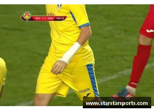 罗马尼亚球员：职业生涯、成就与影响