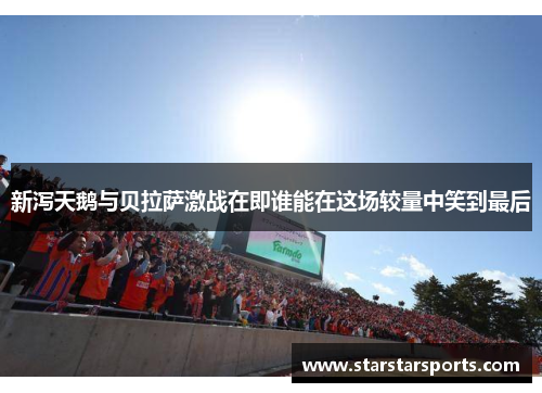 新泻天鹅与贝拉萨激战在即谁能在这场较量中笑到最后